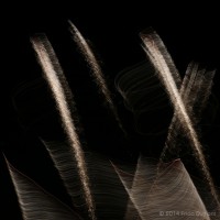 /album/light-painting1/frida-dumont-img-0857-jpg1/